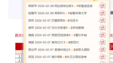 伯恩茅斯对布伦特福德：英超赛事比分及专家质合分析